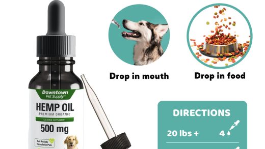 The Benefits of CBD Oil for Your Cat’s Wound Healing