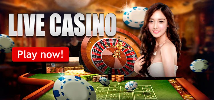 Digital Slot Entertainment The Future of Online Casino Thrills